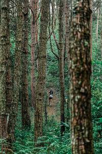 BIB: 
                            <button type="button" onclick="openModal(25235622)" class="btn btn-primary btn-sm float-right btn-popup" data-toggle="modal" data-target=".modal-high-quality">
                        <i class="fas fa-shopping-cart"></i> Add to Cart
                    </button>
                                            <button type="button" onclick="isThisMe(25235622, true)" class="btn btn-success btn-sm float-right btn-popup btn-isme hidden" data-toggle="tooltip" data-placement="bottom" title="นี่คือรูปของคุณใช่ไหม คลิกที่นี่เพื่อเอาเข้าอัลบั้ม">
                        <i class="fas fa-plus"></i> Add to album
                    </button>
                    <button type="button" onclick="isThisMe(25235622, false)" class="btn btn-warning btn-sm float-right btn-popup btn-isnotme hidden">
                        <i class="fas fa-ban"></i> Remove from album
                    </button>